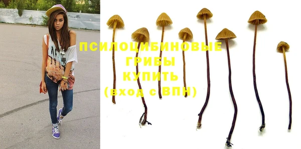 ALPHA PVP Беломорск