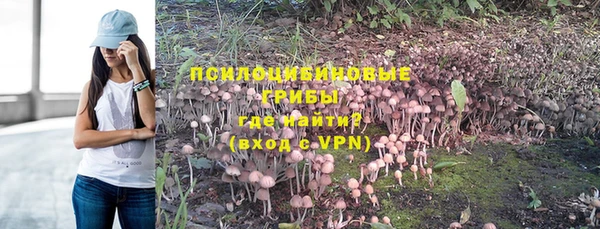 ALPHA PVP Беломорск