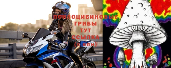 экстази Белокуриха