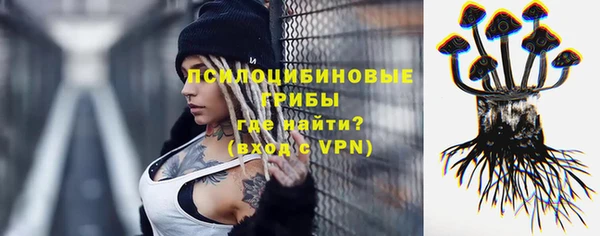 ALPHA PVP Беломорск