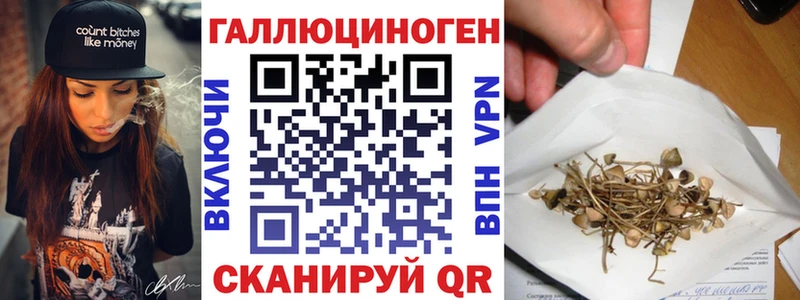 где можно купить наркотик Городище Псилоцибиновые грибы Magic Shrooms